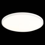 ST601.542.48 Светильник настенно-потолочный Белый LED 1*48W 4000K 4 320Lm Ra>90 120° IP20 D600xH26 1 Накладные светильники