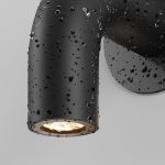 Настенный светильник (бра) Outdoor O477WL-L2GF3K — изображение 4