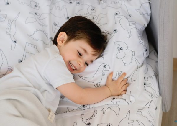 Постельное бельё в детскую кроватку «Динозавры» — изображение 2