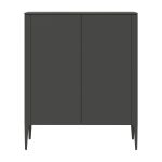 Шкаф Type 2 двери низкий (темно-серый)