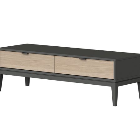 Тумба Fjord 2 ящика напольная (темно-серый)