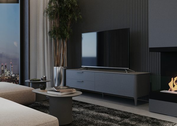 Тумба Type под ТВ 2 ящика откидная дверь (темно-серый) — изображение 3