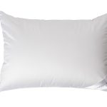 104BP-PSHCA57- BEG Подушка Паво 50*70 шелк.вол/лебяжий пух