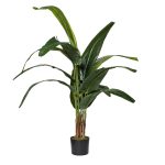 29BJ-778-12  Дерево Traveler's Tree в горшке h140см