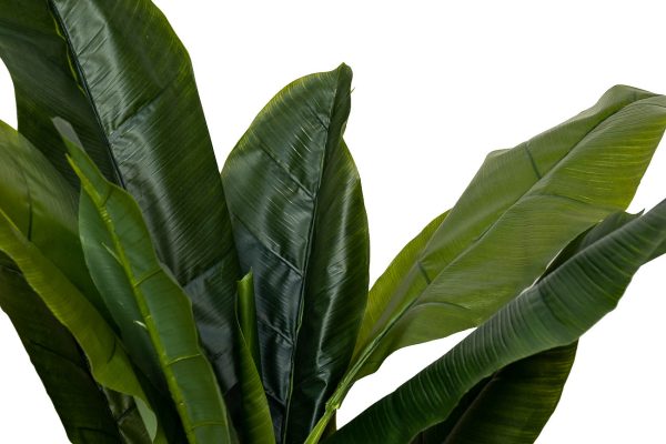29BJ-803-17 Банановый куст h135 см — изображение 2