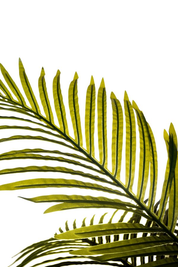 29bj-926-10-palma-iskusstvennaja-v-gorshke-h130sm-1 29BJ-926-10 Пальма искусственная в горшке h130см — изображение 2