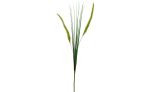 8J-15RS0006 Веточка камыша 75 см (48) — изображение 2