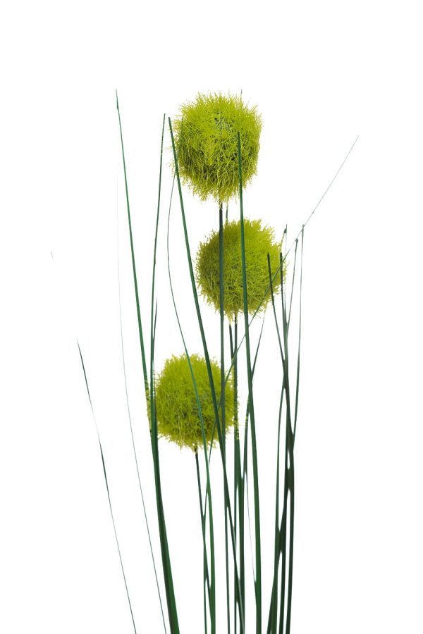 8J-16AS0001 Веточка алиума зеленая 68см (24) — изображение 2