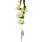 8J-950004 Гибискус белый 78см (12)