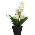 8J-K0013/2 Гиацинт в горшочке белый 40 см (6)