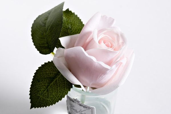 96CN-R46 Диффуз.Rose Bud French Pink,спрей White Gardenia 5мл уп — изображение 3