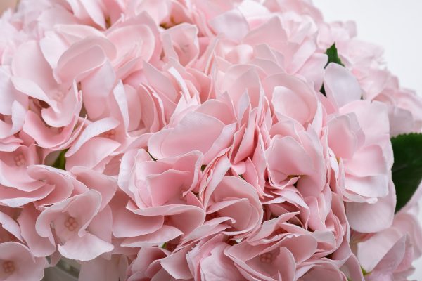 спрей Eau de vie 2*10ml в упак.