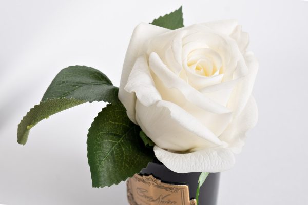 спрей Rose Oud 5мл в упаковке спрей Rose Oud 5мл в упаковке