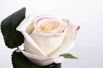 спрей Rose Petal 5мл в упак.