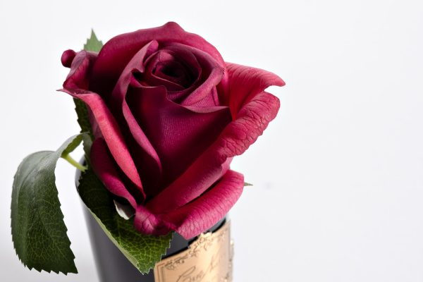 96cn-rb44-diffuzor-rose-bud-red-sprej-rose-petal-5ml-v-upakovke-2 96CN-RB44 Диффузор Rose Bud Red, спрей Rose Petal 5мл в упаковке — изображение 3