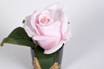 спрей Pink Peonies 5м уп