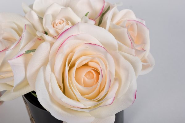 96cn-rb62-diffuzor-five-rose-pink-sprej-pink-peonies-10ml-v-up-2 96CN-RB62 Диффузор Five Rose Pink, спрей Pink Peonies 10мл в уп. — изображение 3