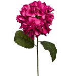 9F27033M-4179 Гортензия алая