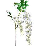 9F27434-1538 Глициния белая