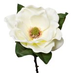 9F27785M-1538 Магнолия белая 72см (12)