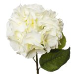 9F28060MK-1538 Гортензия белая 62см (12)