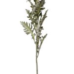 9F28508-5458 Цинерария 76см(24)