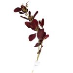 9F28558-BR Веточка эвкалипта с цветами листья бордовые 72см (24)