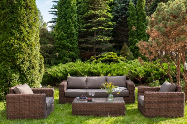 цвет соломенный