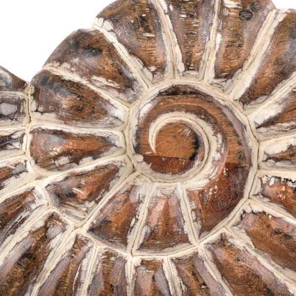 Деревянный декор, ракушка АВРАН ЧОТА — изображение 4