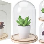 HZ1002200 Суккулент в горшке в стекл. куполе H20см в асс.(4)
