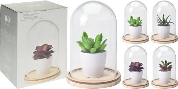 HZ1002200 Суккулент в горшке в стекл. куполе H20см в асс.(4)