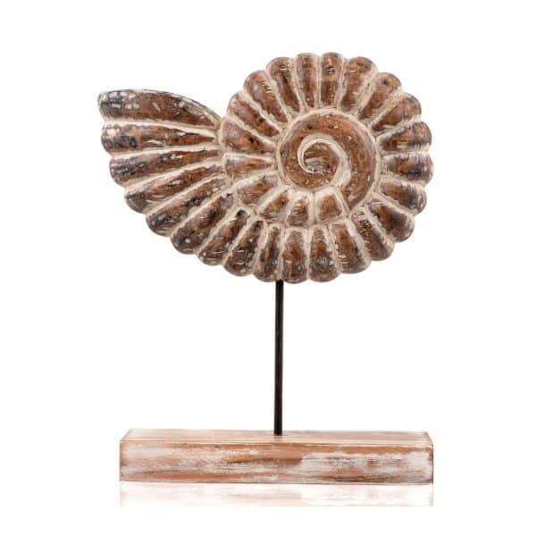 ракушка АВРАН