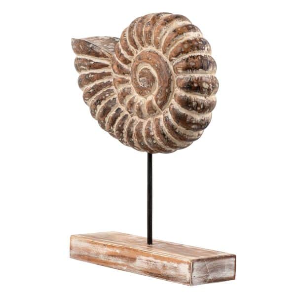 Лофт декор, ракушка АВРАН — изображение 3