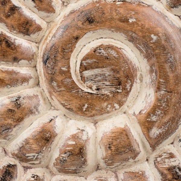 Лофт декор, ракушка АВРАН — изображение 4