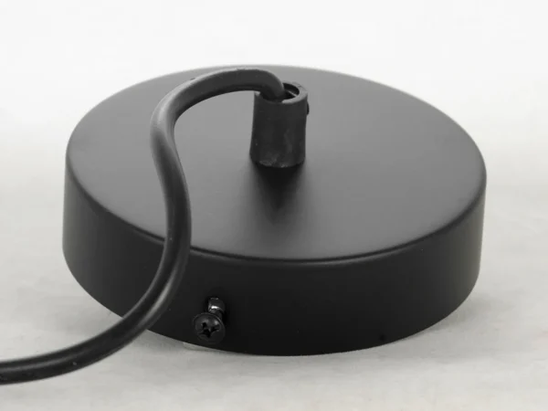 Подвесной светильник Lussole Truman черный — изображение 5