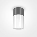 Потолочный светильник Outdoor O418CL-01GR