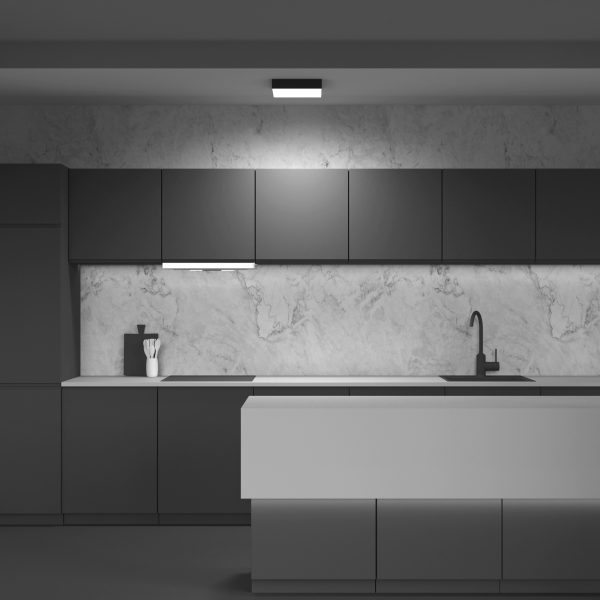 Потолочный светильник Technical C067CL-L40B4K — изображение 5