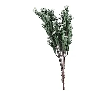 Растение искусственное