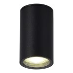 SL9010.412.01 Светильник уличный потолочный ST-Luce черный GU10 1*50W TUBO