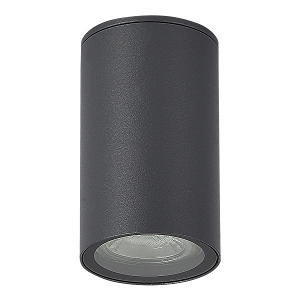 SL9010.712.01 Светильник уличный потолочный ST-Luce серый/белый GU10 1*50W TUBO — изображение 2