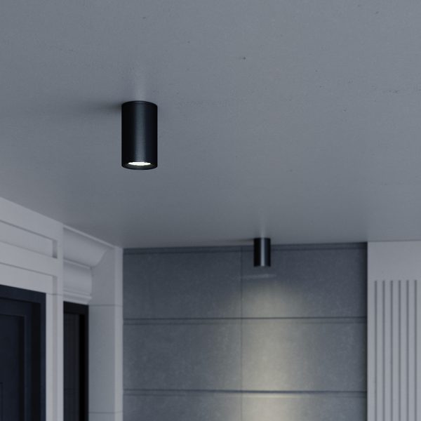 SL9010.712.01 Светильник уличный потолочный ST-Luce серый/белый GU10 1*50W TUBO — изображение 3