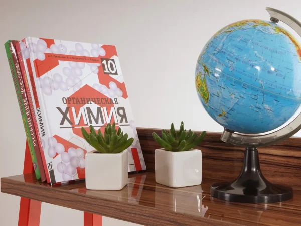 Стеллаж Board малый белый, индийский эбонит — изображение 2