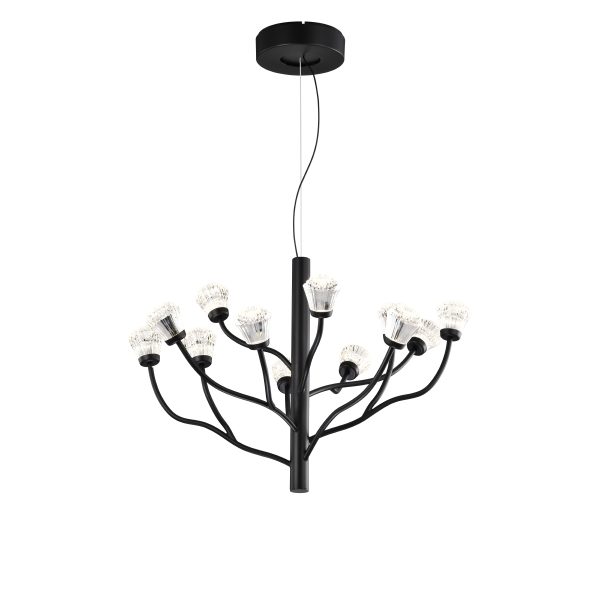 g254c4nadew91pfrhqxbjo4zkjk1my5l Люстра P0550-12A black — изображение 2