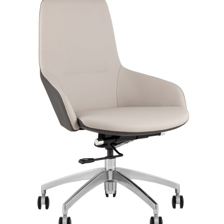Кресло офисное TopChairs Soulo светло-серый