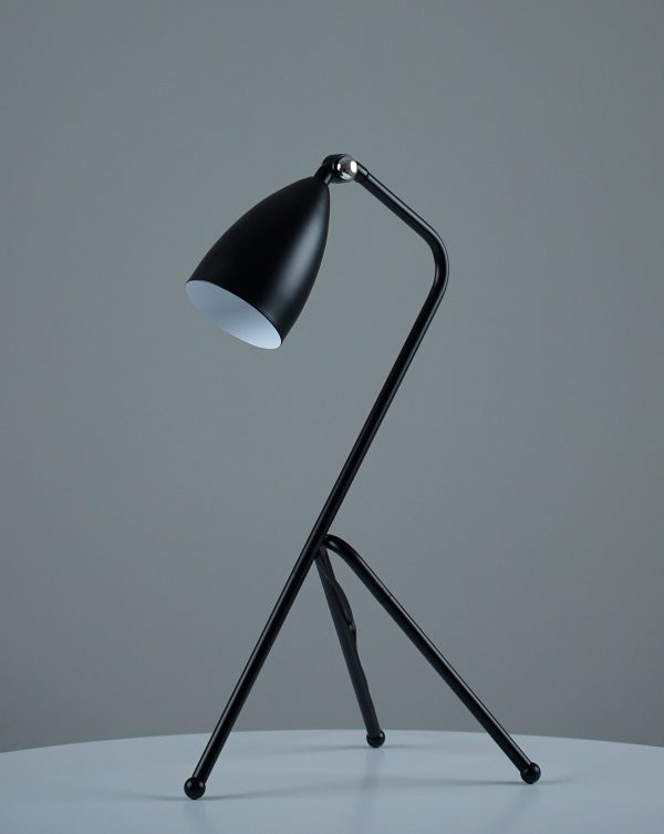 Лампа настольная Moderli V10998-T Show — изображение 2