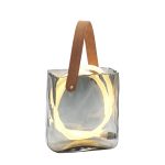 Лампа настольная светодиодная Moderli V11675-TL Bag