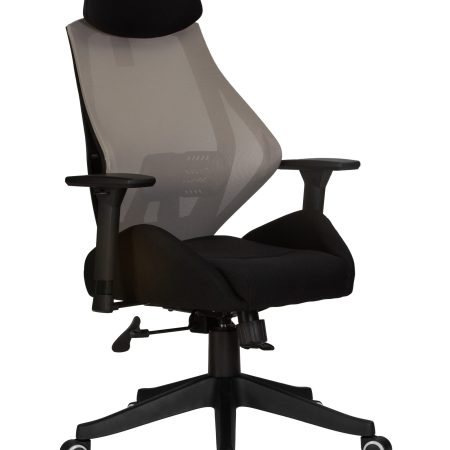 Офисное кресло для персонала DOBRIN TEODOR