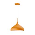 Подвесной светильник Moderli V1294-1P Eline