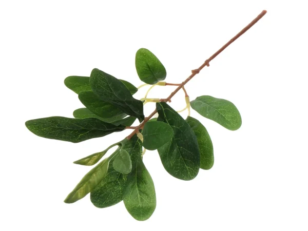 Растение искусственное Ветвь Эвкалипта зеленый — изображение 2