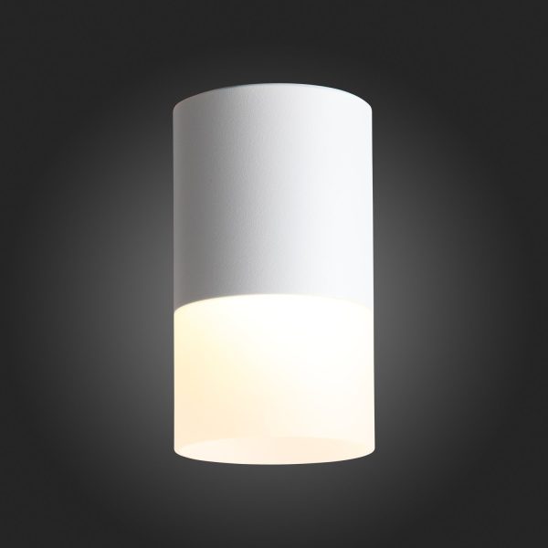 ST100.502.10 Светильник потолочный Белый LED 1*10W 3000K 780Lm Ra>80 120° D78xH135 170-240V Накладные светильники — изображение 2